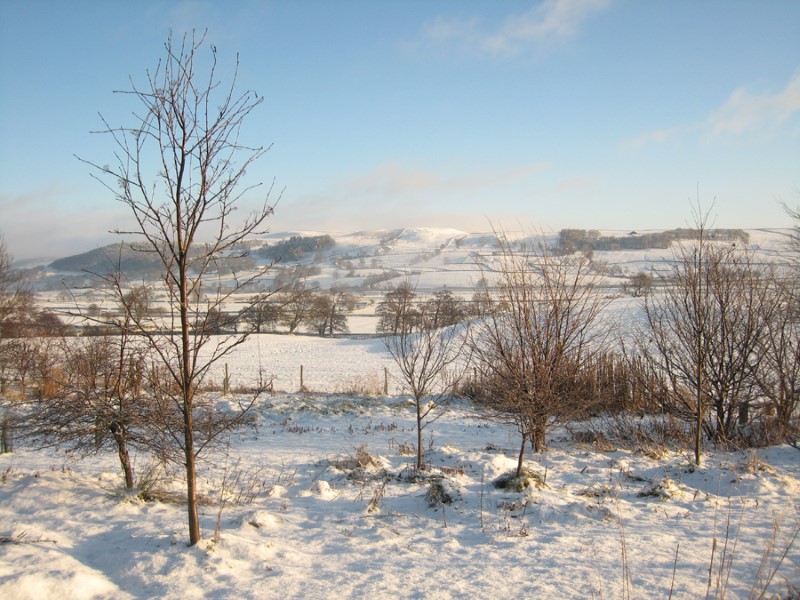 Brocklands Woodland Burial