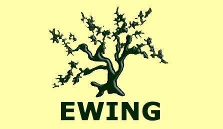 Ewing Funeral Service