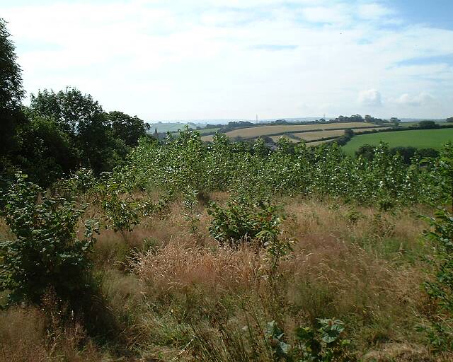 Bidwell Woodland Burial Ground