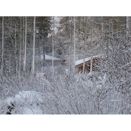 Chiltern Woodland Burial Park