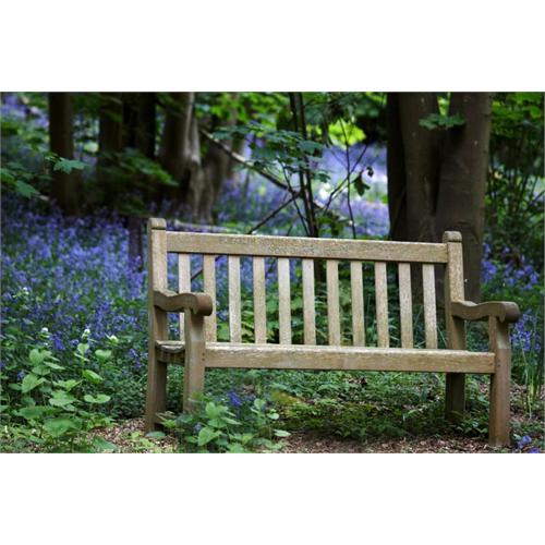 Colney Woodland Burial Park