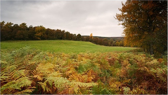 Delliefure Natural Burial Ground