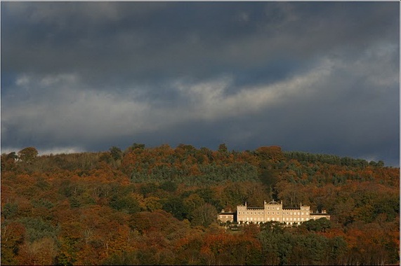Hundy Mundy Natural Burial Woodland