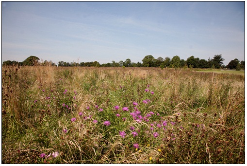 Ketton Park Green Burial