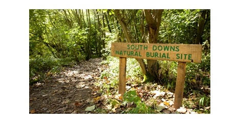 South Downs Natural Burial