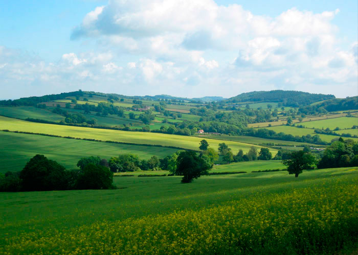 South Shropshire Remembrance Park
