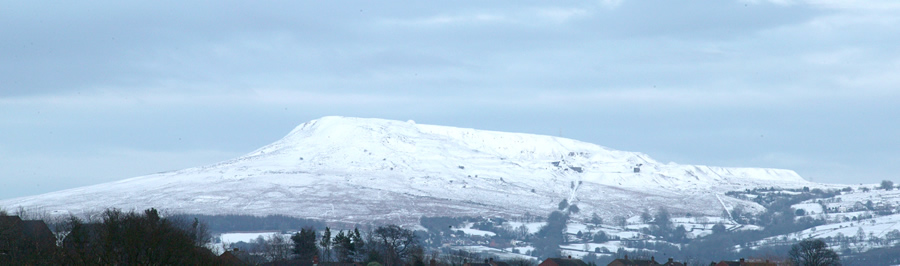 Ludford Park Meadow of Remembrance