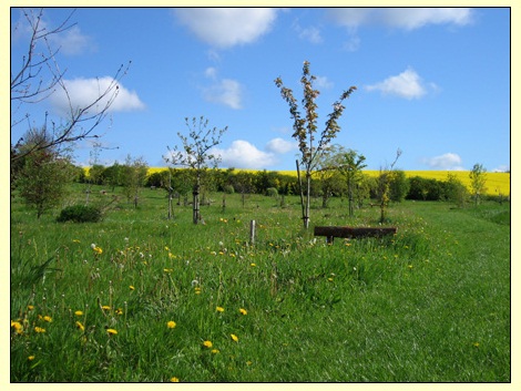 South Yorkshire Woodland Burial Ground