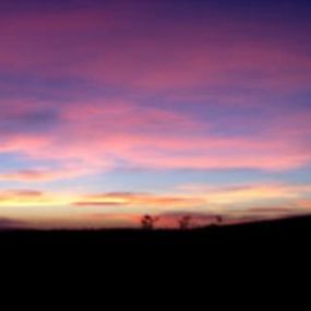 Crossways Woodland Burial Ground